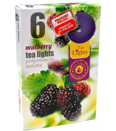 Sviečka čajová MULBERRY Sviečka čajová MULBERRY